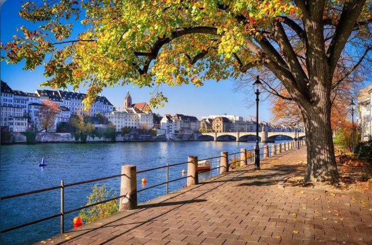 Schweiz Apartment Basel Luaran gambar