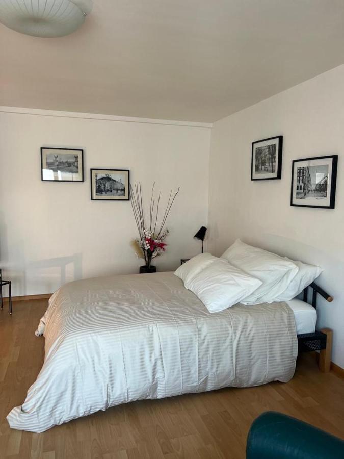 Schweiz Apartment Basel Luaran gambar