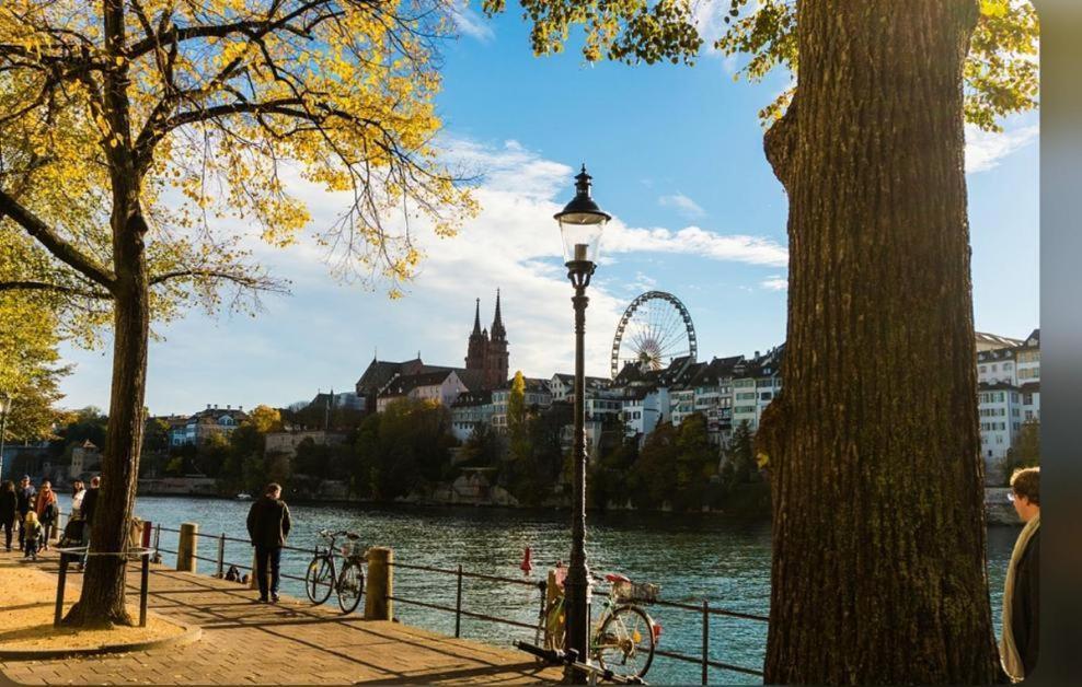 Schweiz Apartment Basel Luaran gambar